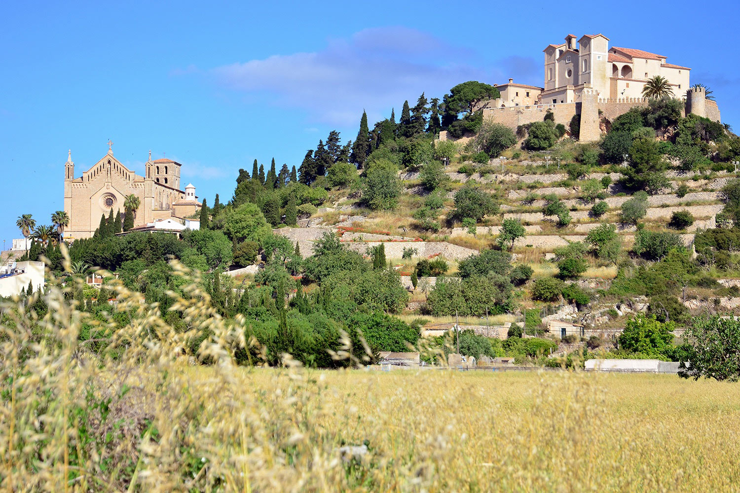 Arta